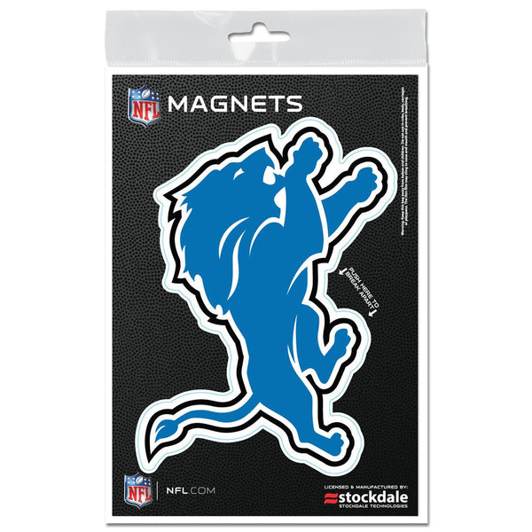 Detroit Lions Outdoor Magnets 3" x 5"