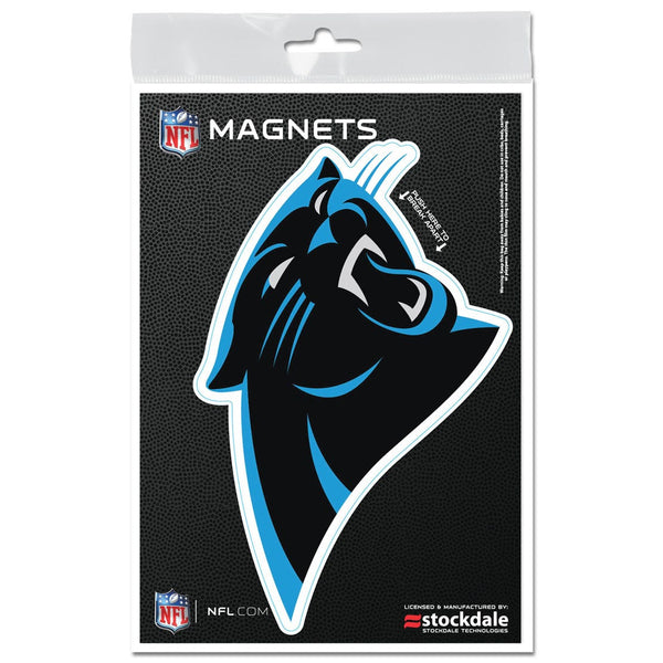 Carolina Panthers Outdoor Magnets 3" x 5"