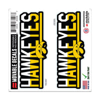 Iowa Hawkeyes COLOR DUO All Surface Decal 6" x 6"