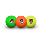 NC State Wolfpack 3 Golf Balls In Clamshell